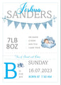 Baby Personalised A4 Birth Print , with or without frame